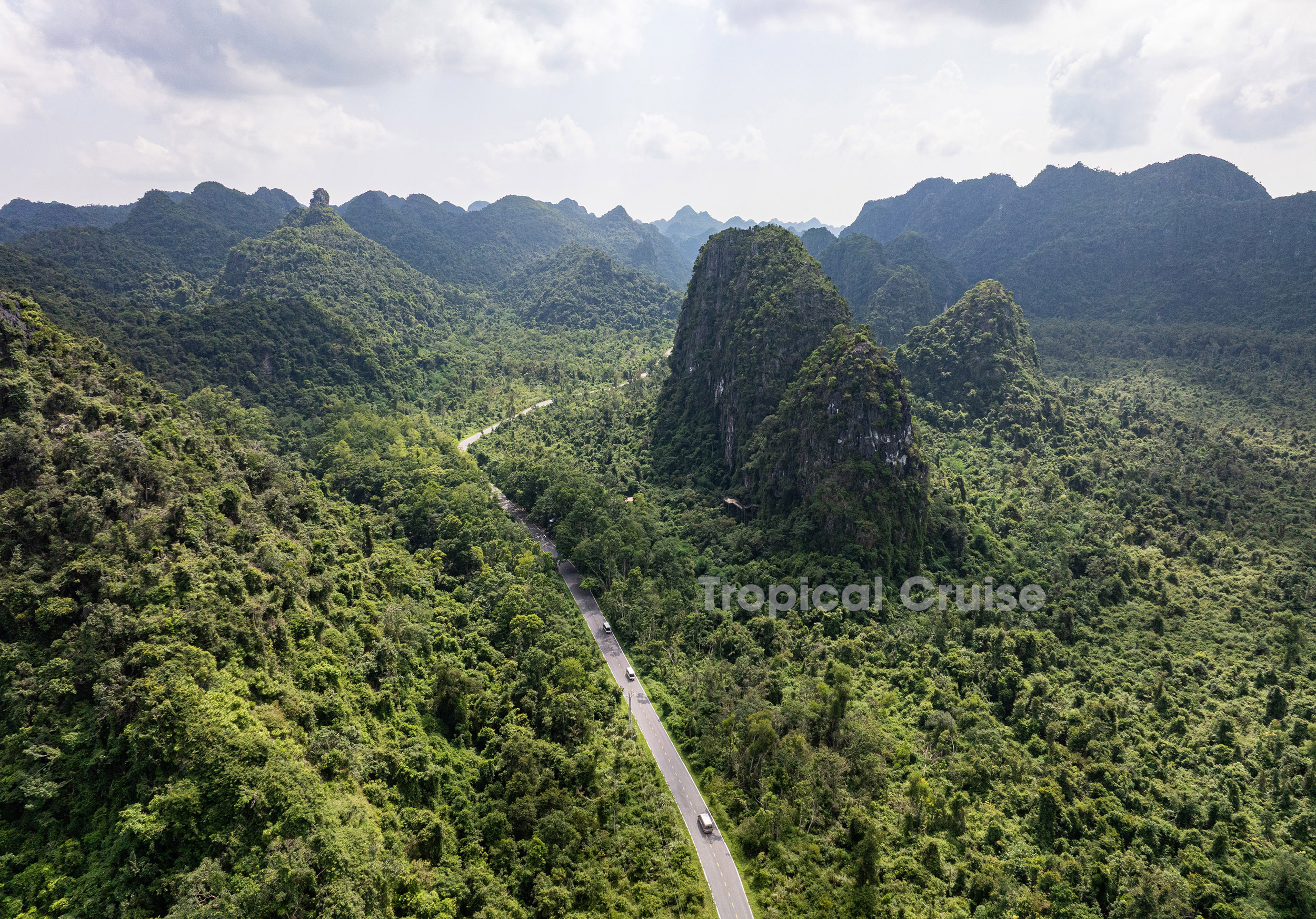 Tropical Cruise in Cat Ba Island