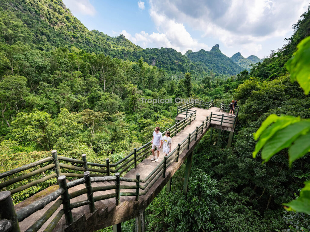 Trung Trang Cave Cat Ba National Park