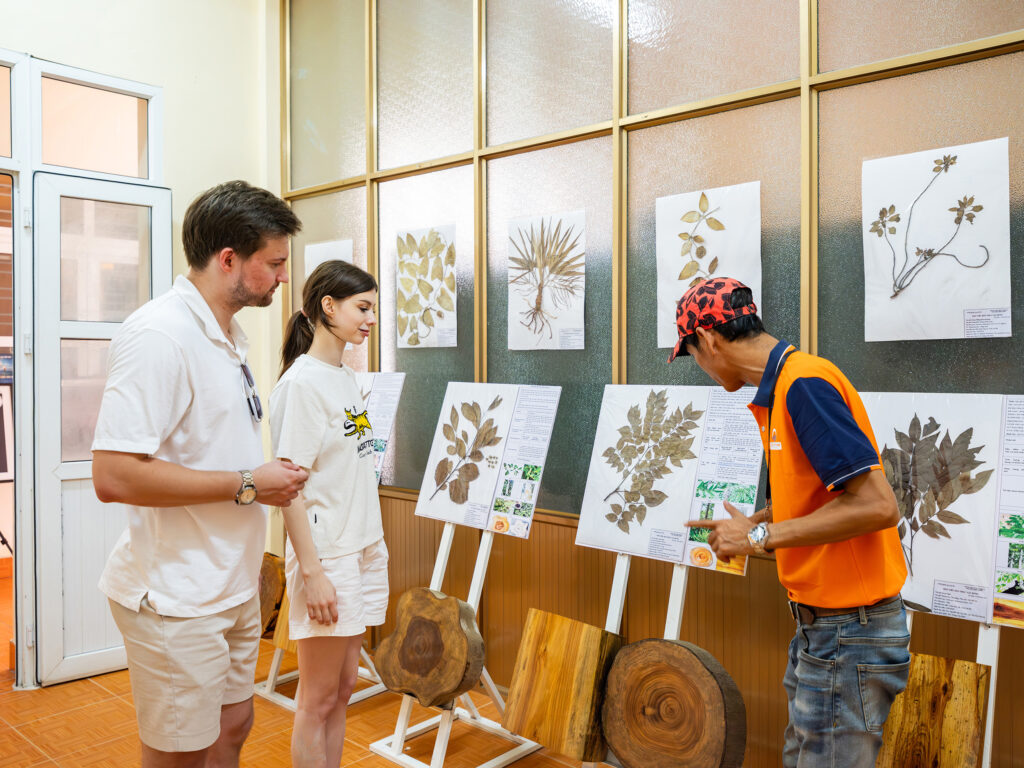 Visiting Cat Ba National Park Museum