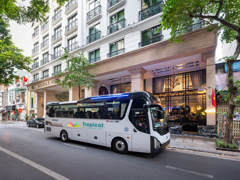 Tropical Cruise transportation